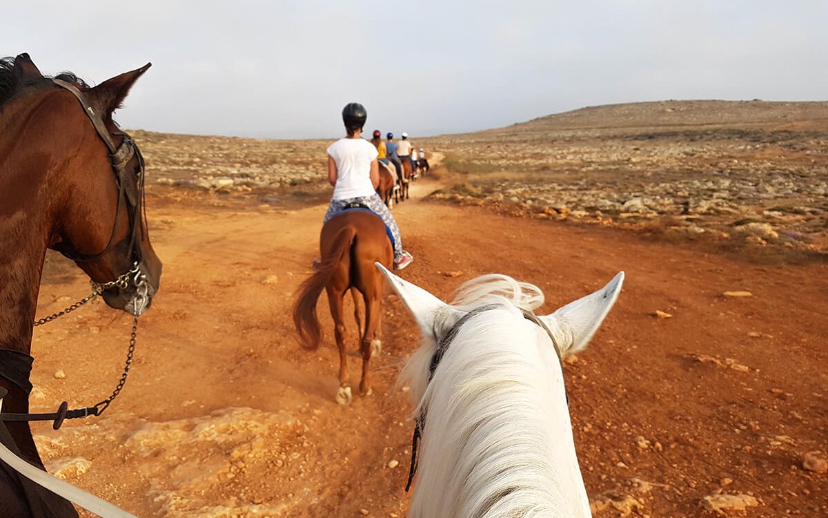 Top attractions and things to do in Malta