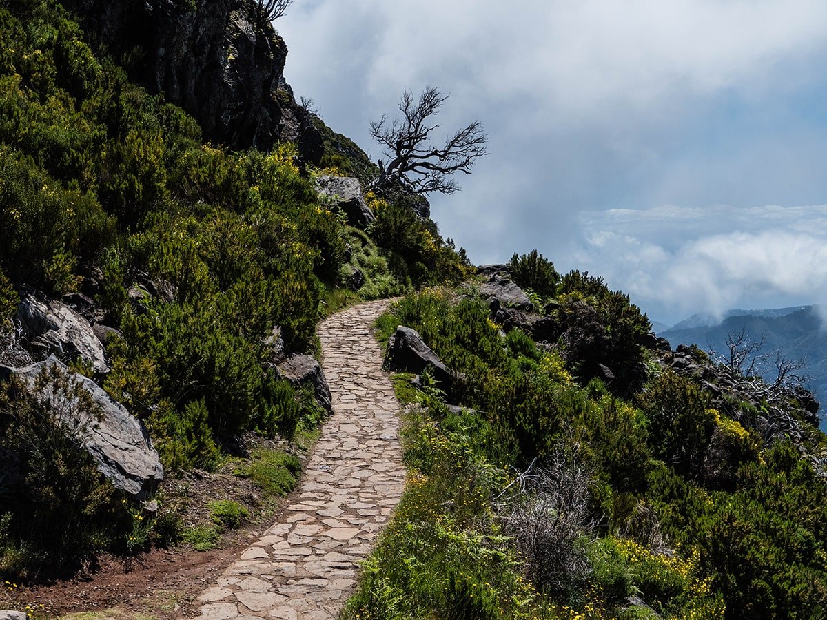 Achada do Teixeira Pico Ruivo trail