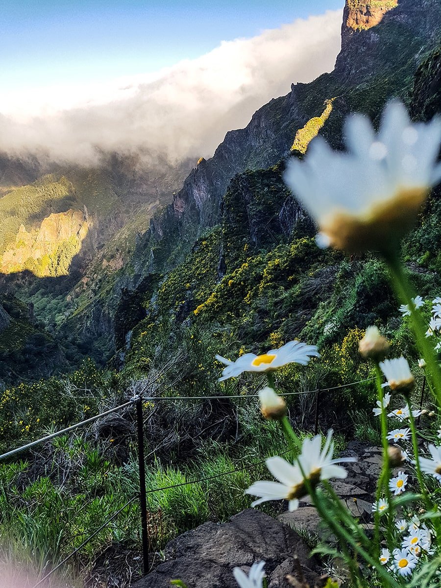 Lush landscape on the Pico Ruivo hike