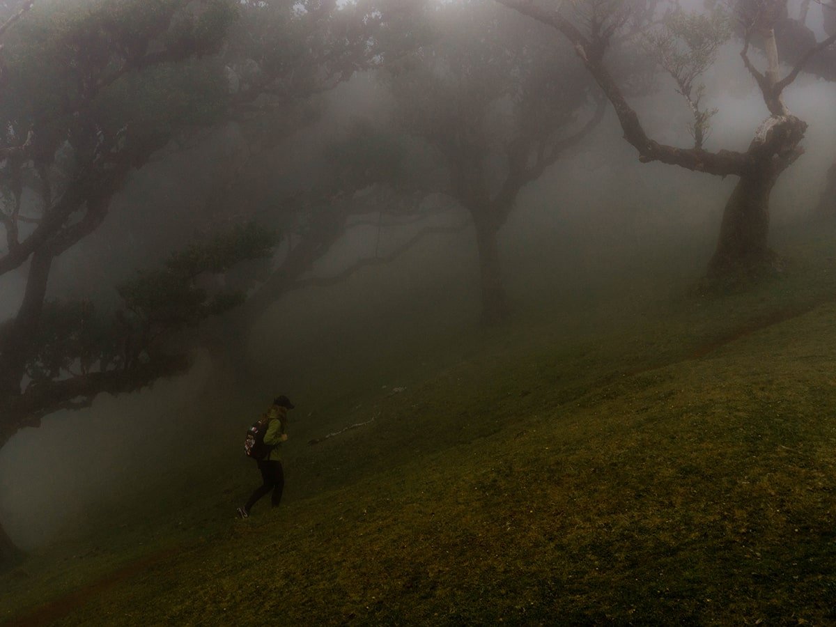 Hike in Fanal forest in the fog