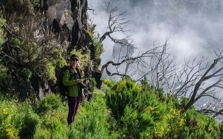 Amazing vegetation on the way to Pico Ruivo from Pico do Arieiro
