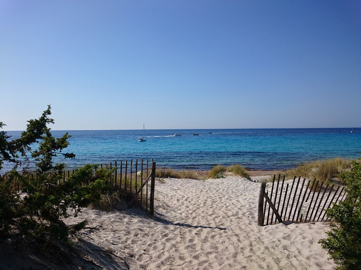 5 Stunning Corsican Beaches - Saleccia: A breathtaking beach with crystal-clear water and powdery sand surrounded by lush vegetation.
