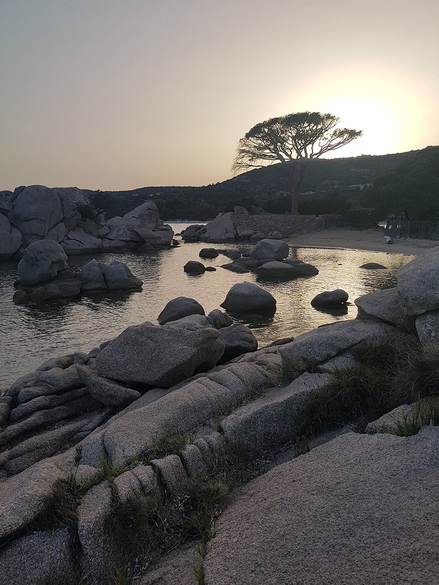 Sea, rocks and a tree. The perfect look for a stunning Corsican beach