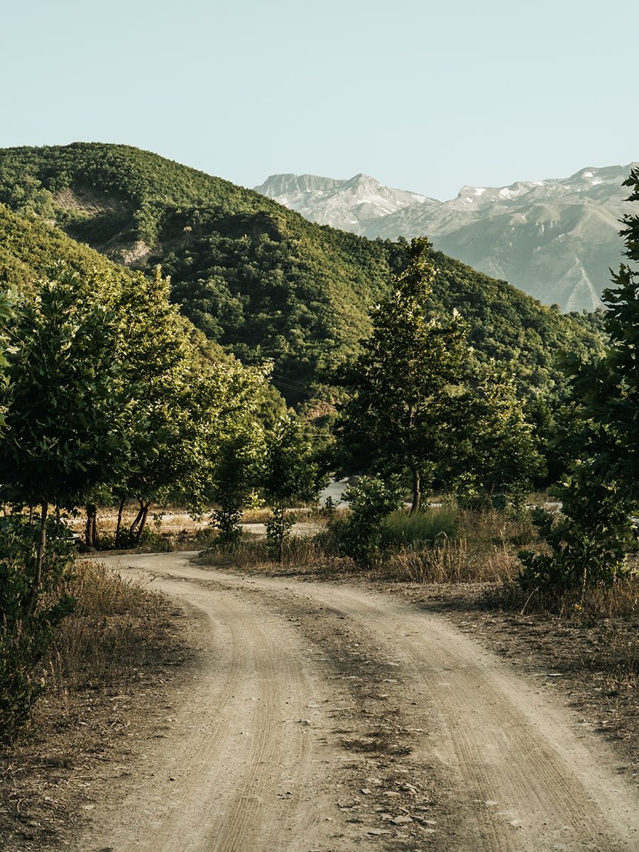 A dusty road with trees near and high mountains in the background