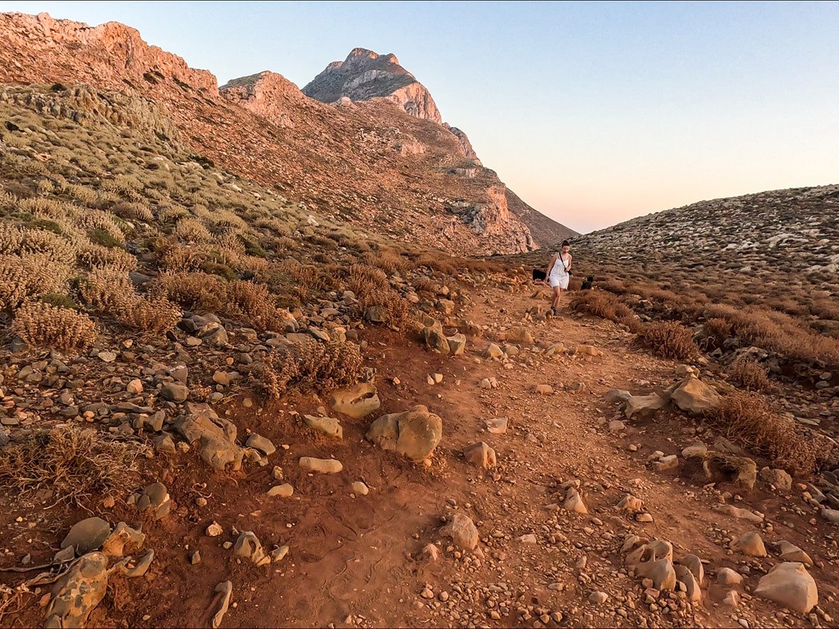 A girl and some goats hiking