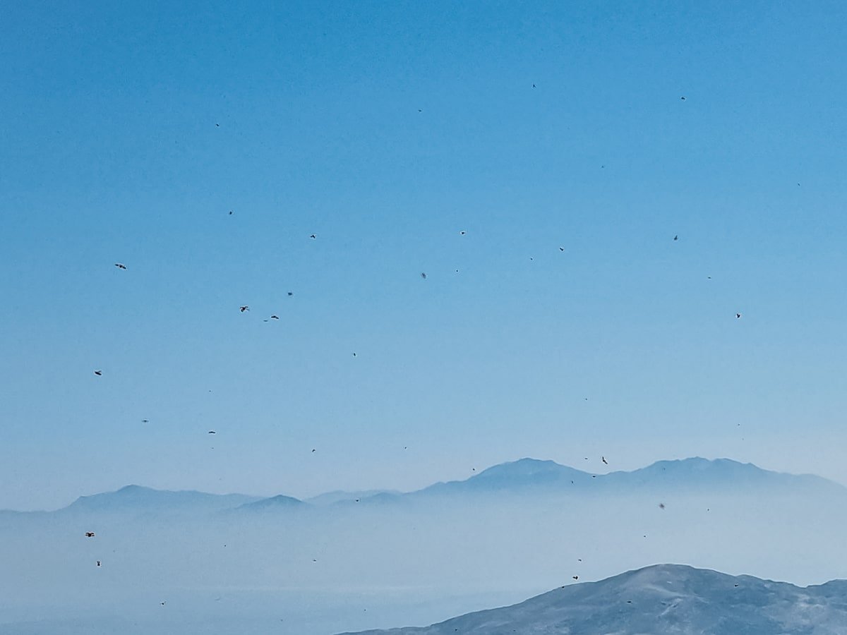 Crete's Highest Peak: A Hike from Mygero Refuge to Mount Ida