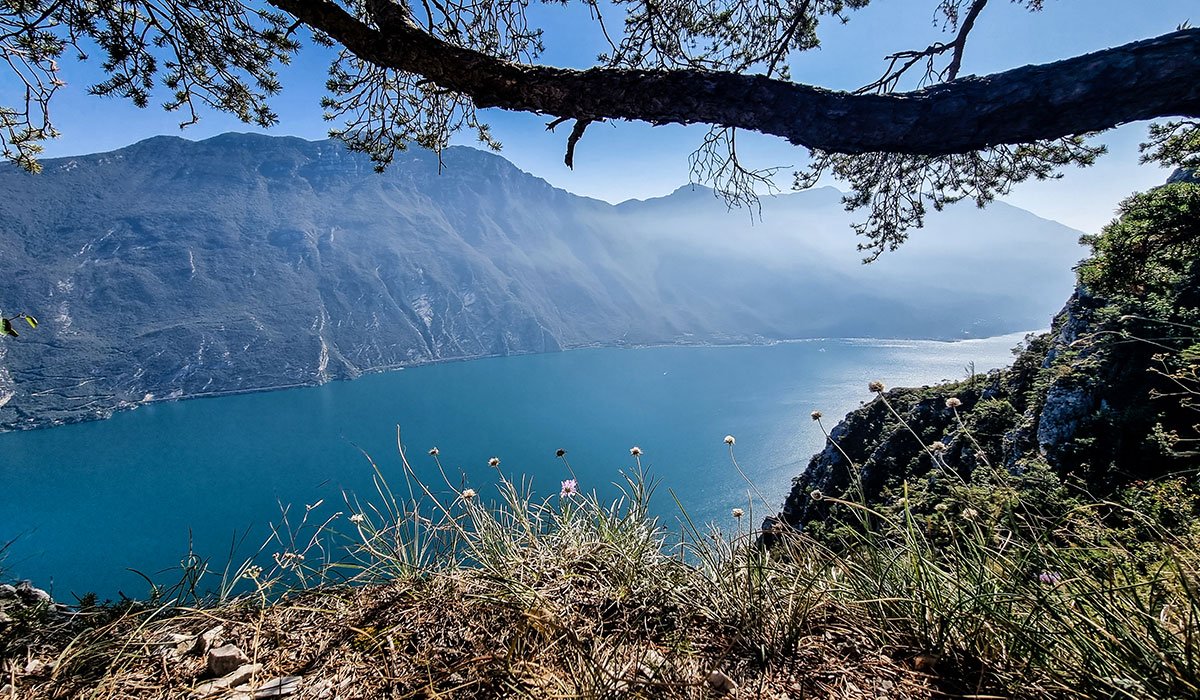 Panoramic Punta Larici Hike in the Prealps