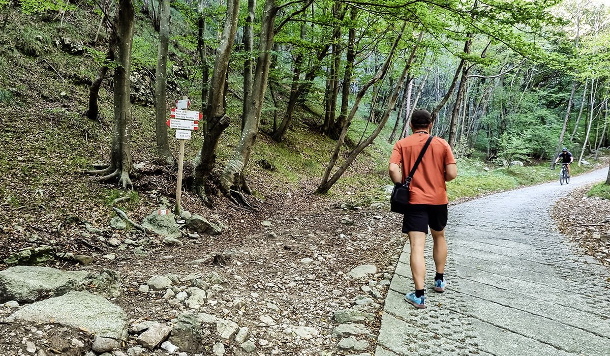 Hiking Punta Larici: Alpine Adventure at its Best