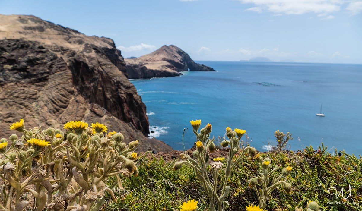 Exploring the pristine beauty of Ponta de São Lourenço