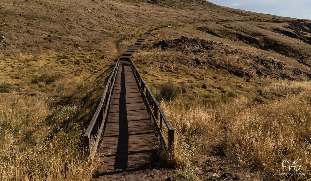PR8 trail at Ponta de São Lourenço