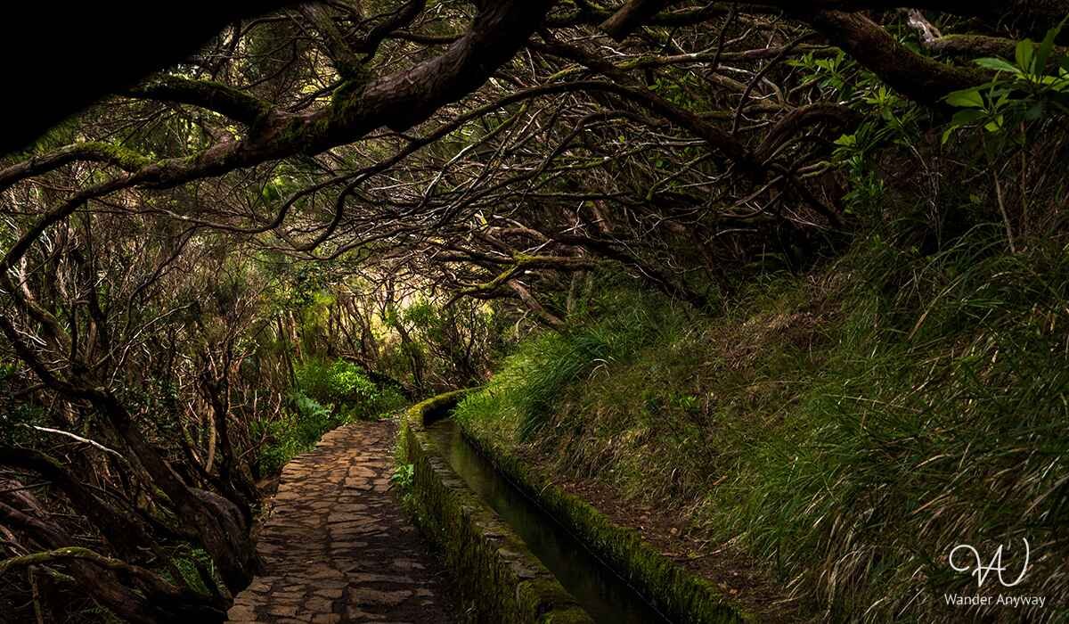 Amazing vistas while hiking to waterfalls in Portugal