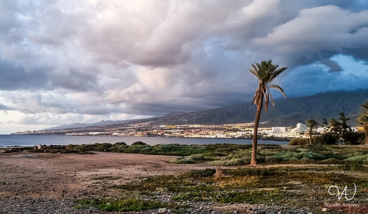 Beach view and a palm tree. (Best beaches in Tenerife)