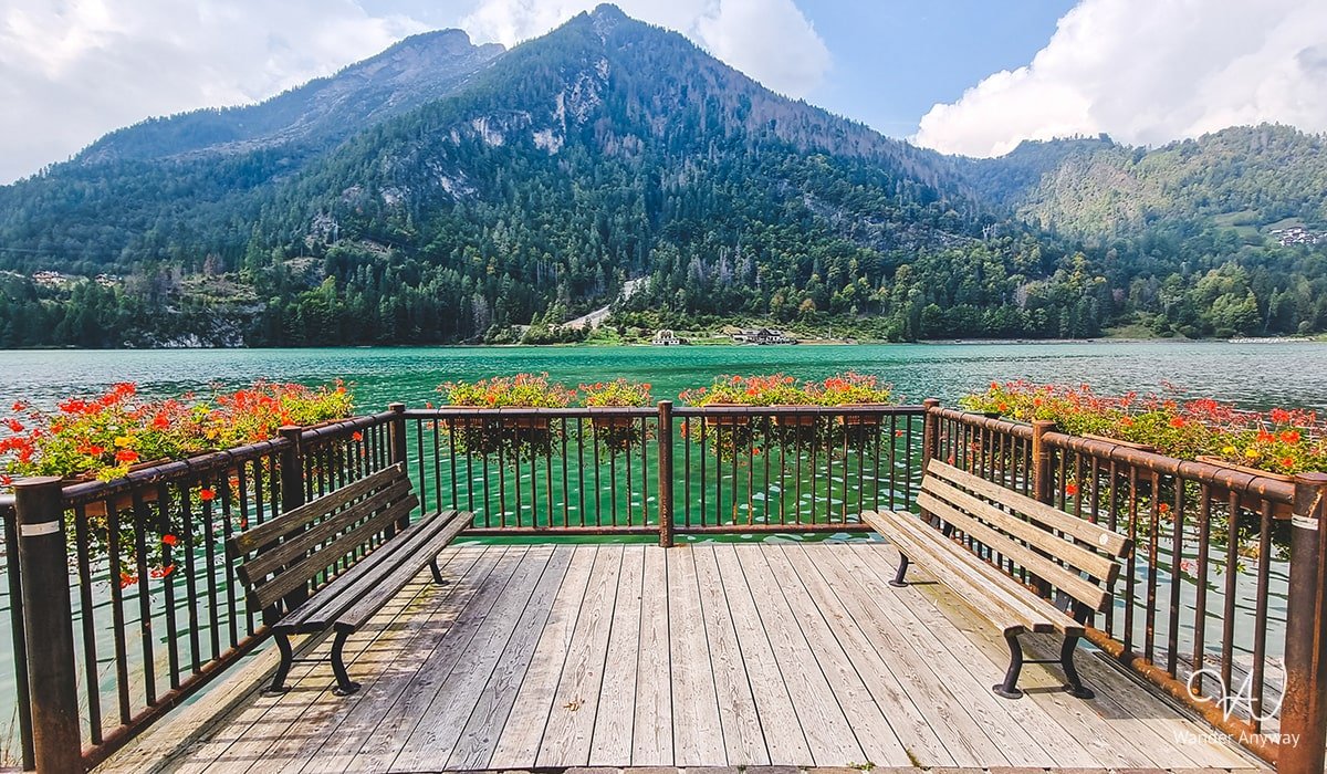 Flowers and mountains at the beautiful Alleghe lake