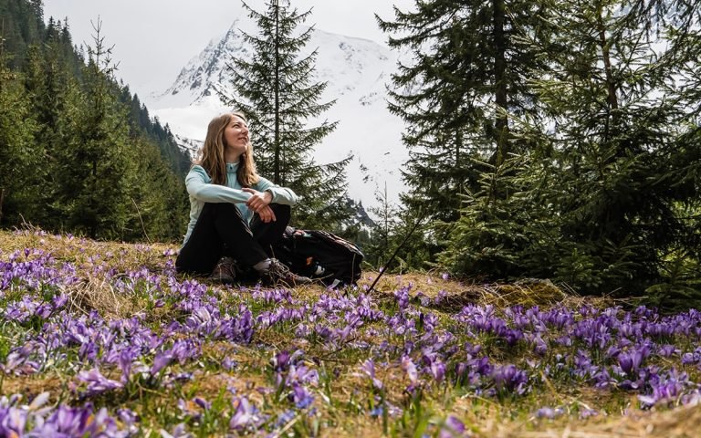 Vibrant crocus flowers blooming in the mountain landscape at Sâmbetei Valley