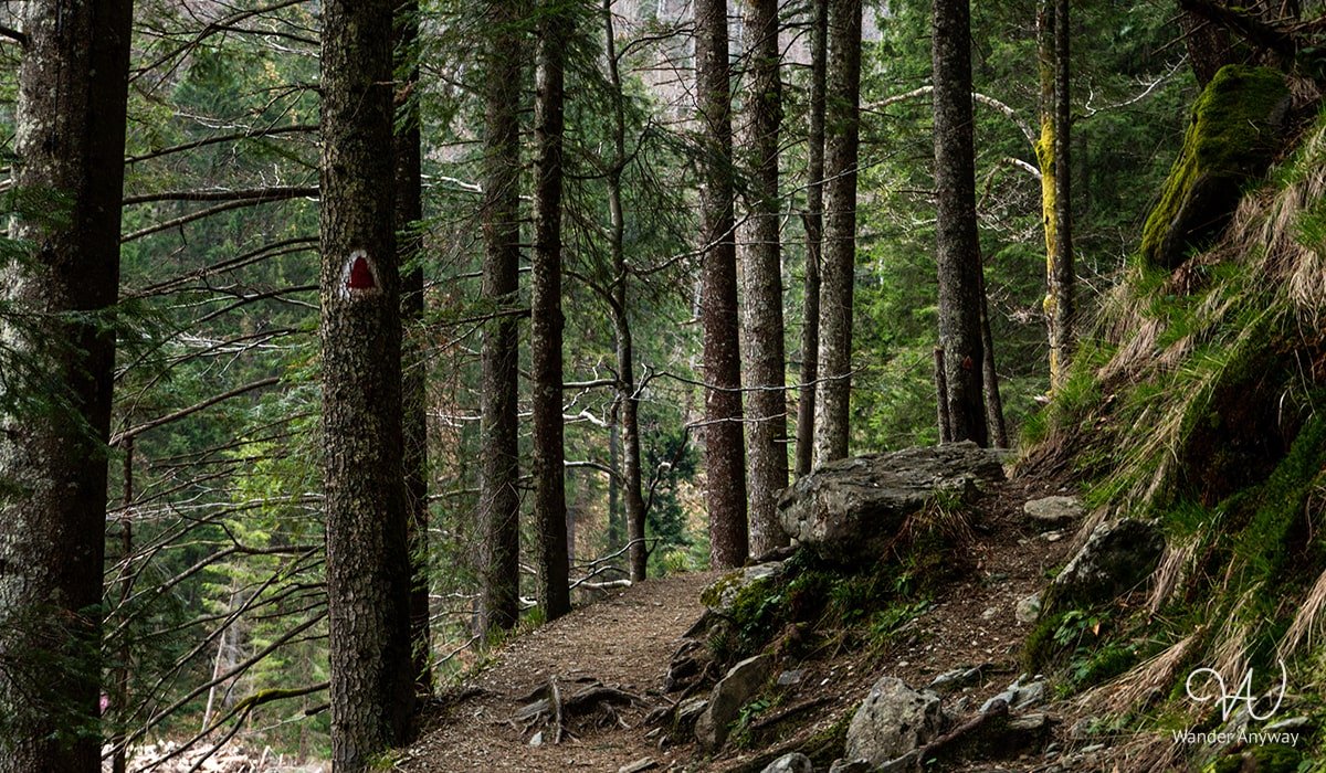 Walking route to Valea Sâmbetei Hut