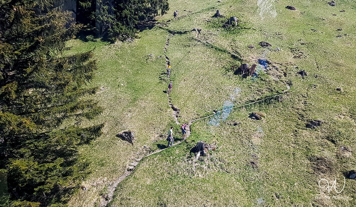 Hikers enjoying the scenic trails