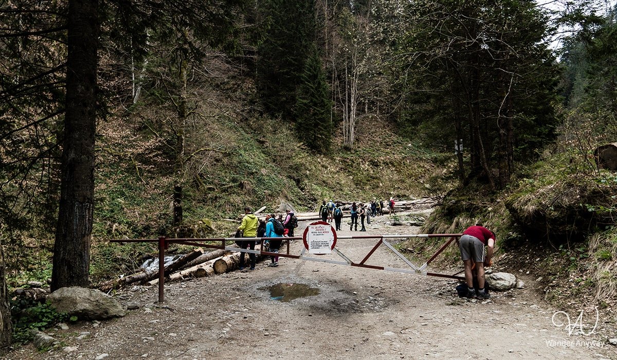 Barrier on the forest road towards Sâmbetei Valley