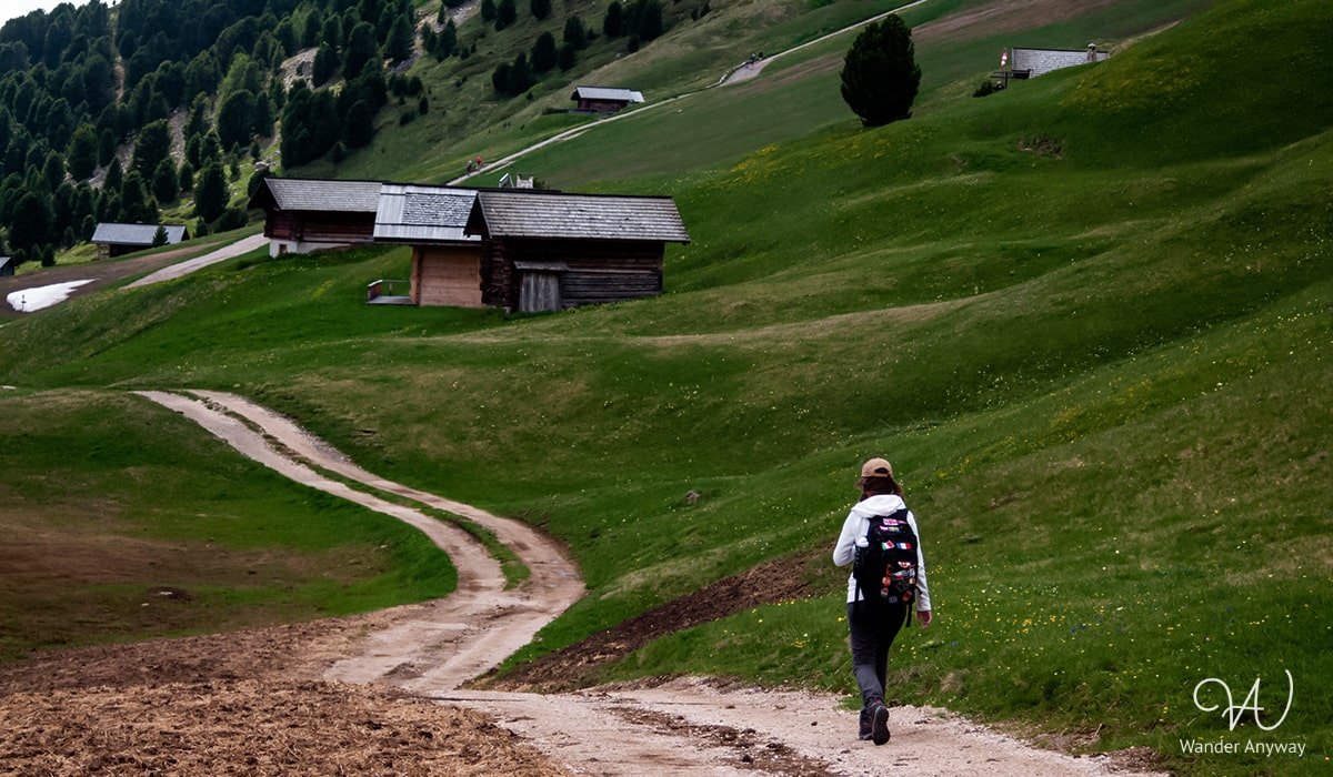 Seceda trails