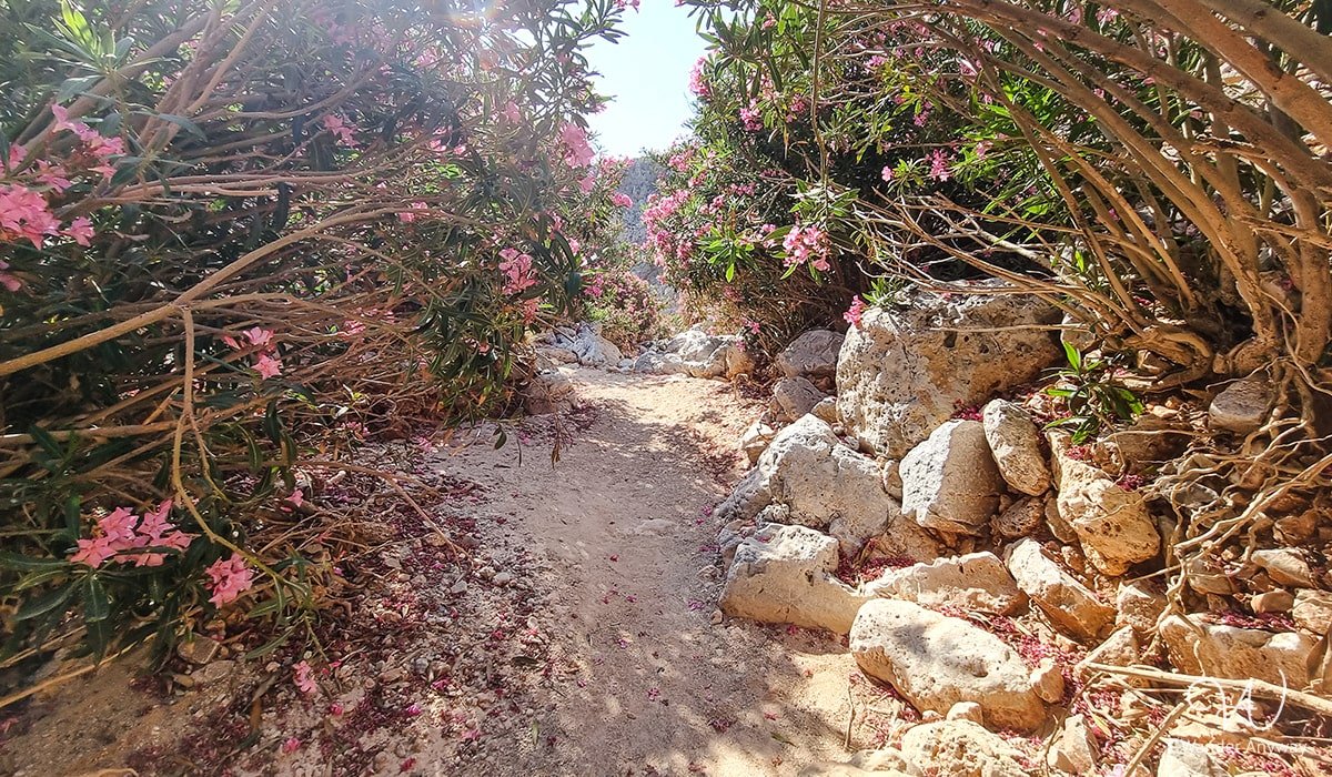 Hiking Adventure at Seitan Limania Beach