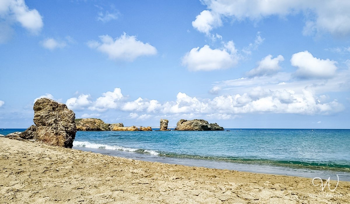 Serene atmosphere at the Palm shore