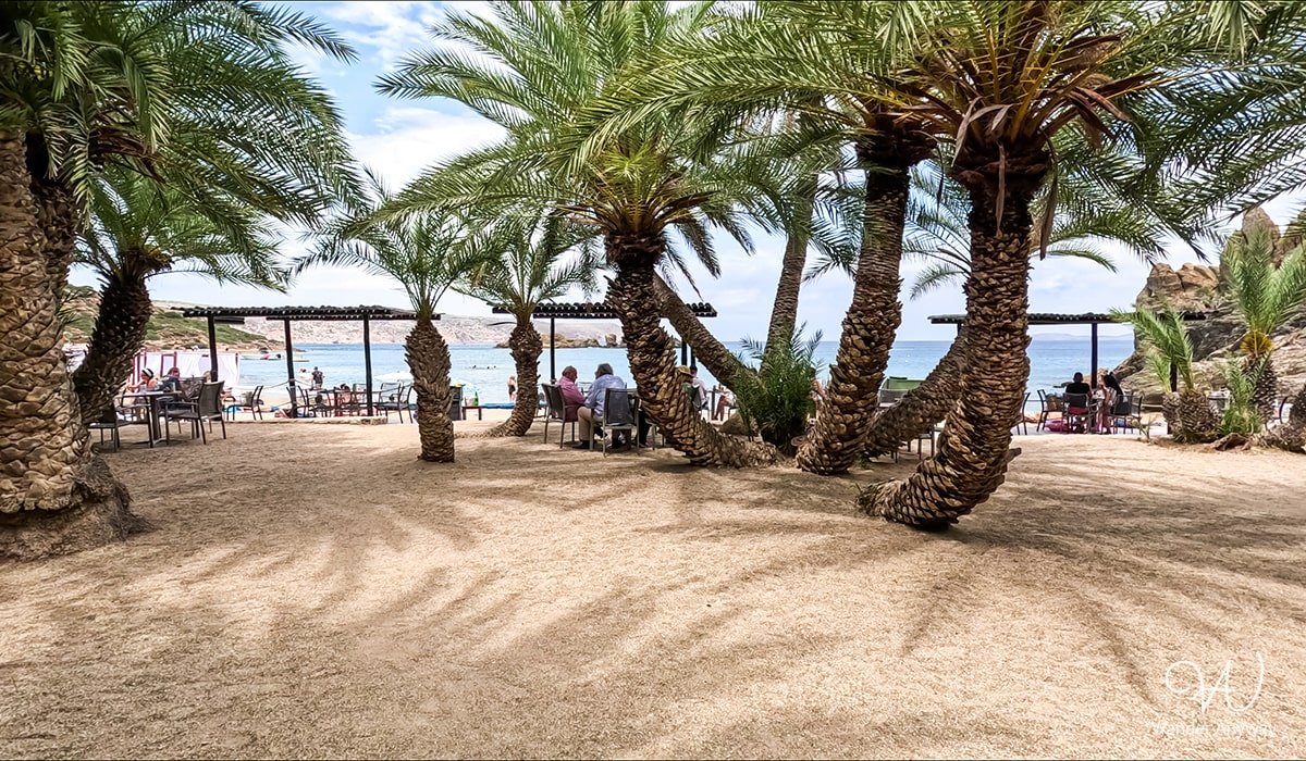 Palm trees providing shade at Vai Beach, ideal for a relaxing day