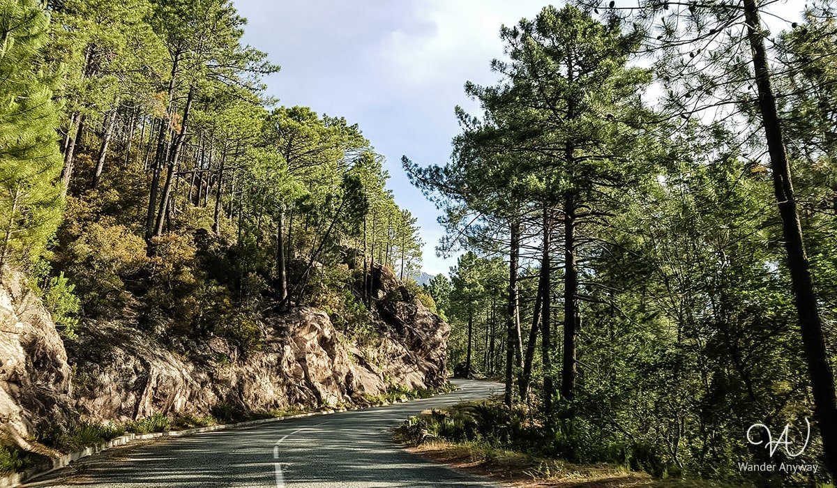 Scenic road towards the Purcaraccia Waterfalls