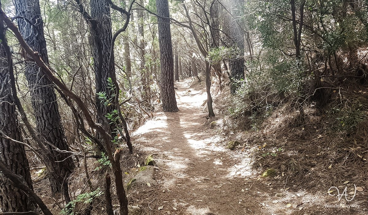 The trail to the Purcaraccia Waterfalls, Corsica