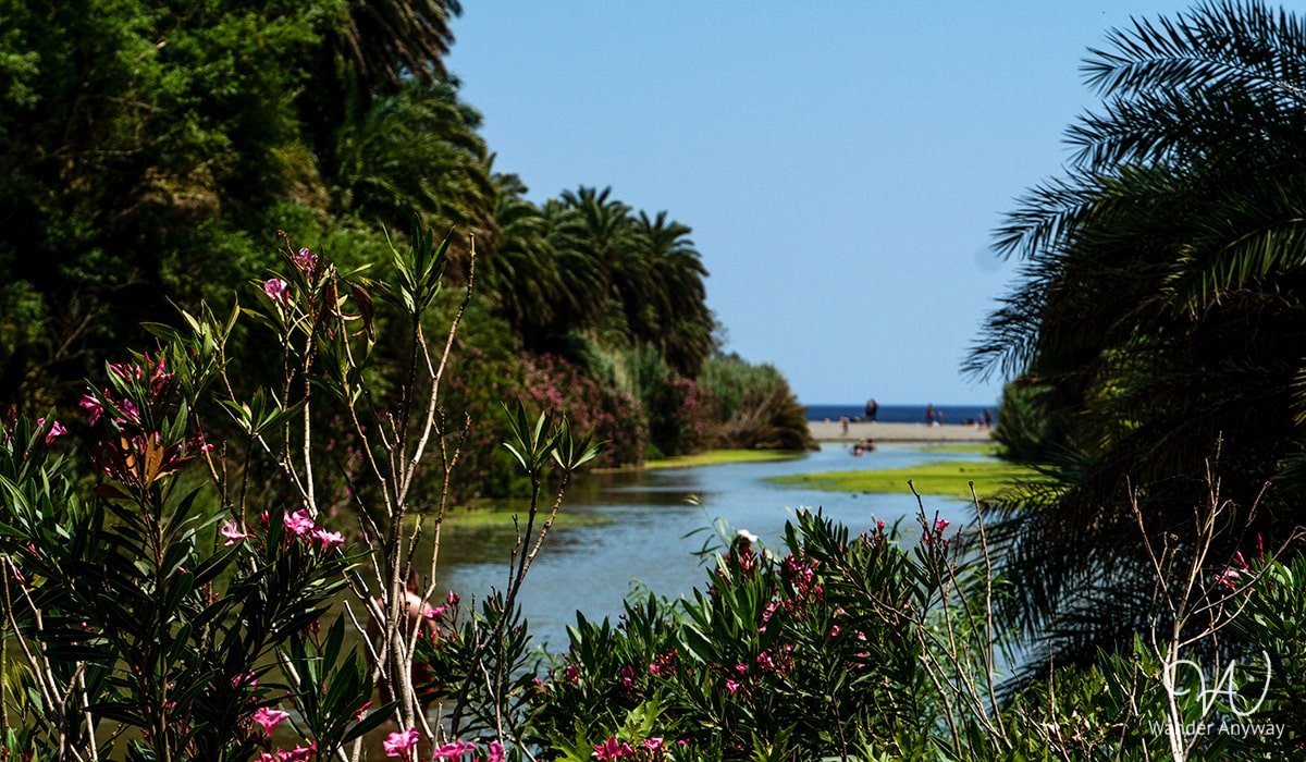 Natural beauty of Preveli Beach with lush palm trees