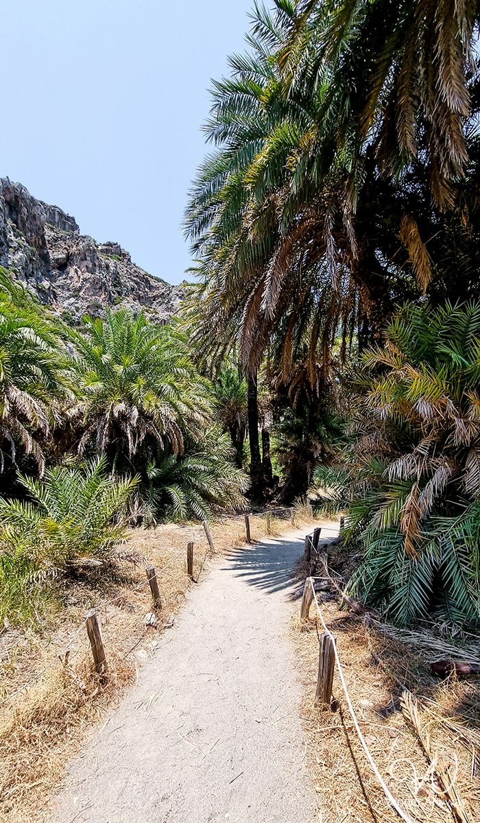 Exploring the serene palm forest at Preveli Beach