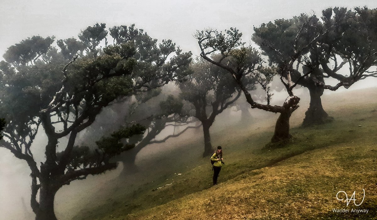 Mystical atmosphere in Madeira