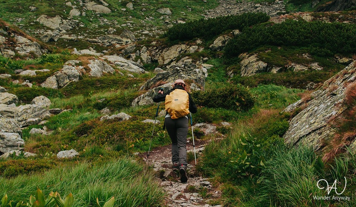 Hiking