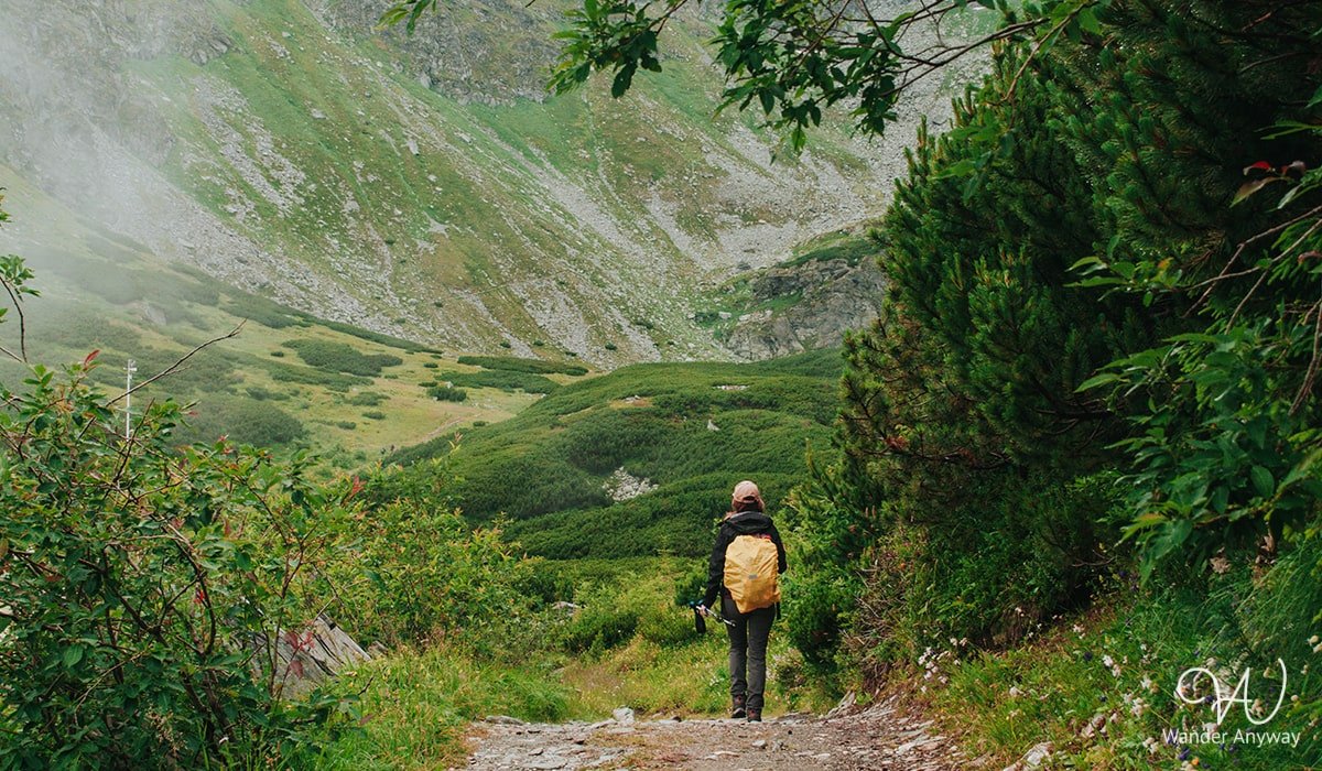 Hiker on the trail