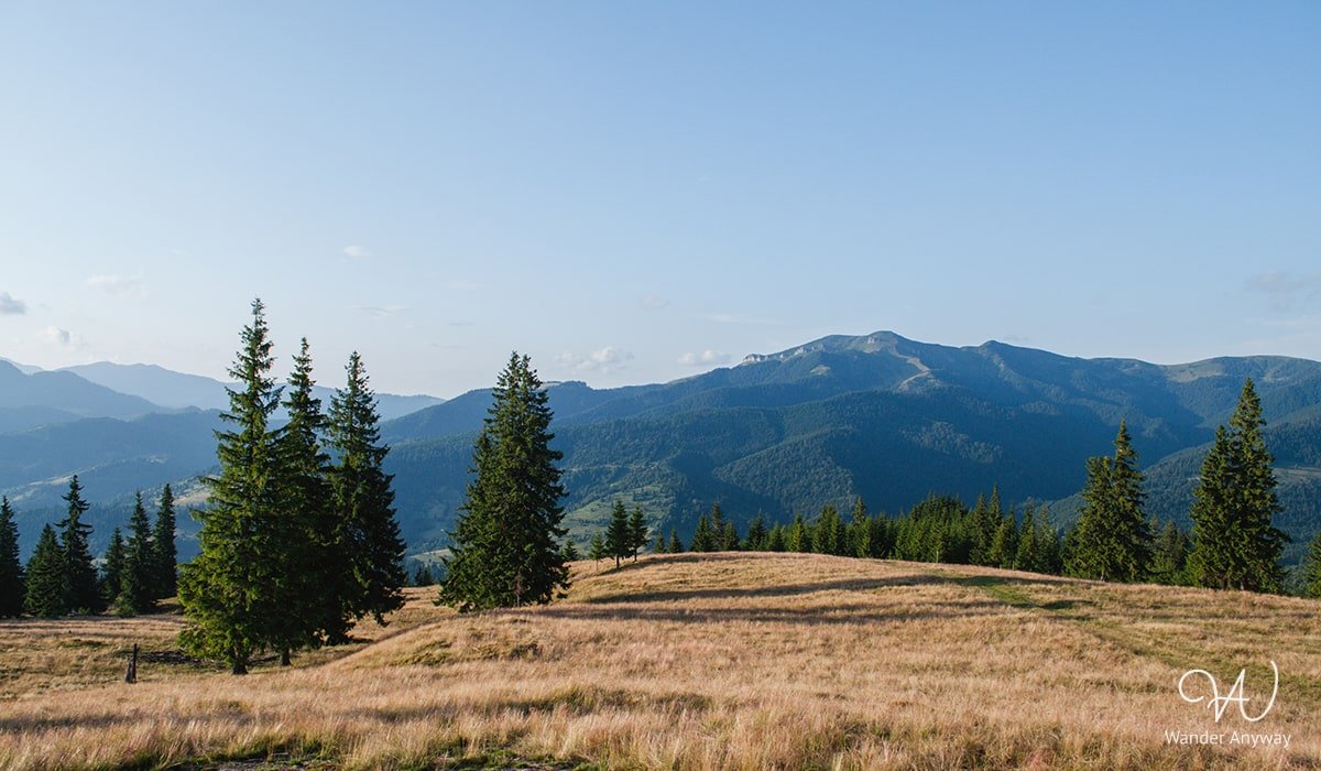 Breathtaking view of Rodnei National Park with lush valleys and mountain peaks