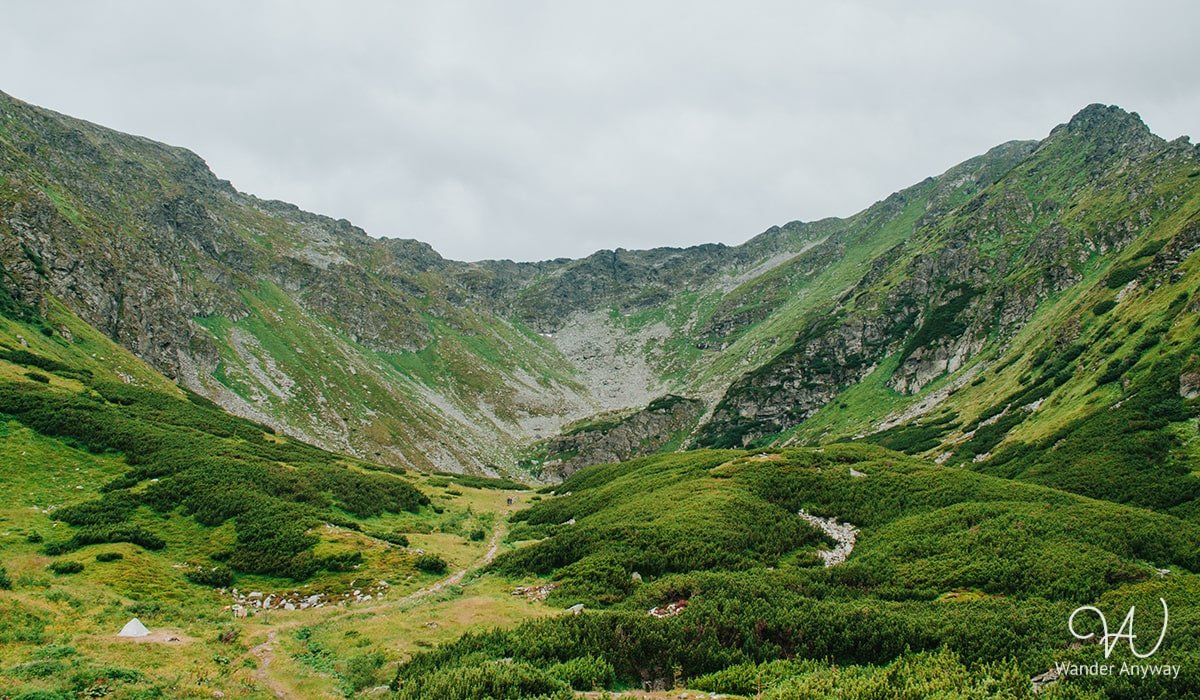 View of Pietrosul Rodnei Peak during a summer hike