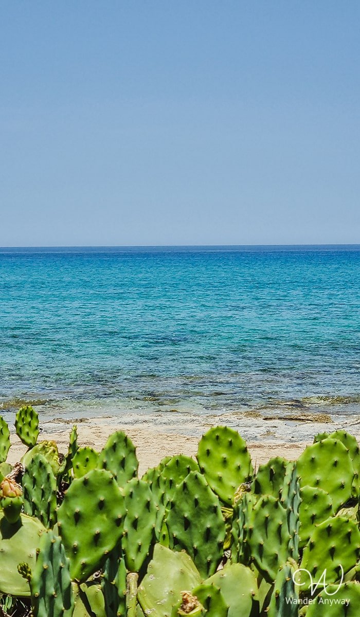 Natural beauty of Pachia Ammos Beach with coarse sand and vibrant underwater world.