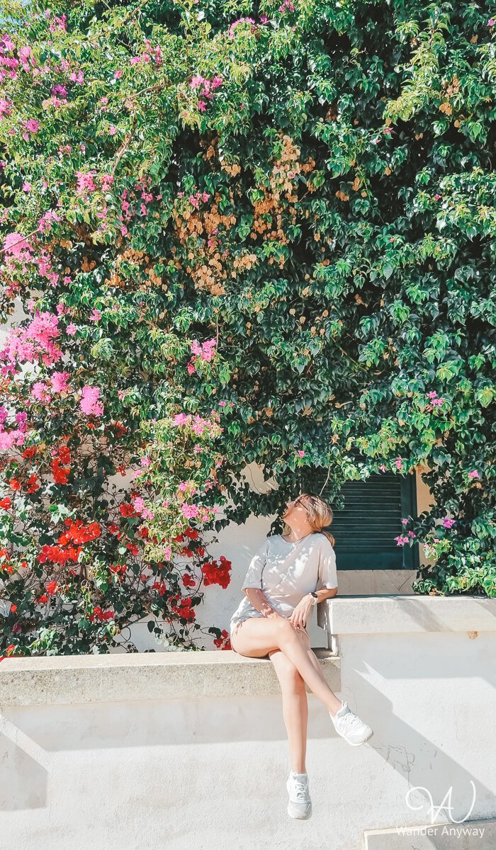 Beautiful flowers in Otranto