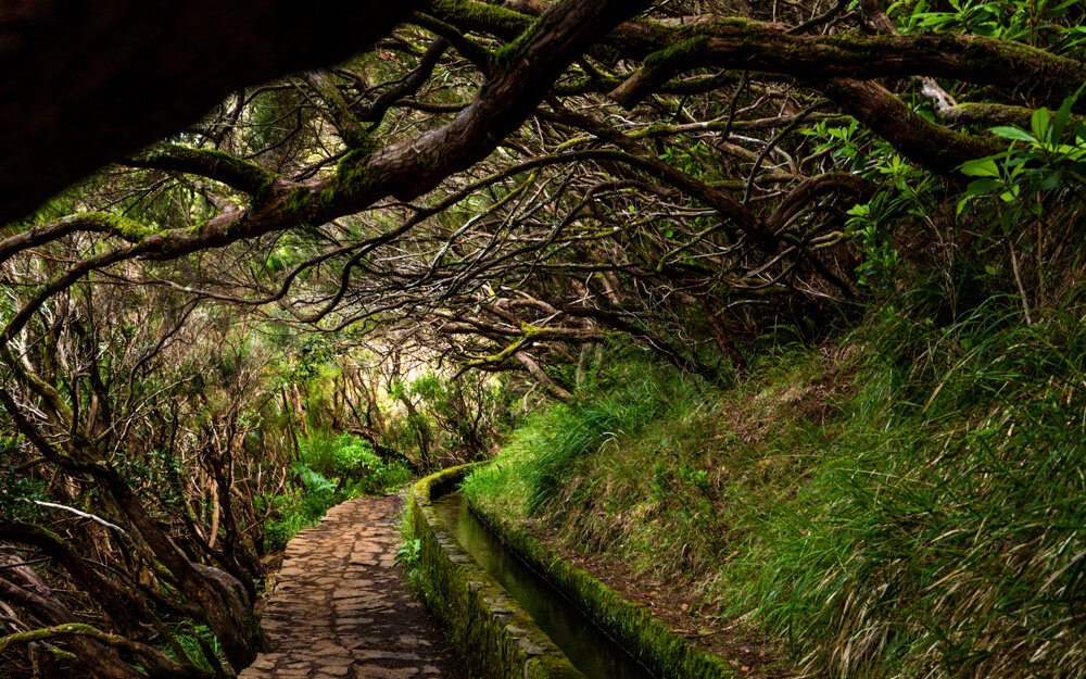 25 Fontes & Risco Hiking Guide | Madeira’s Ultimate Levada Walk