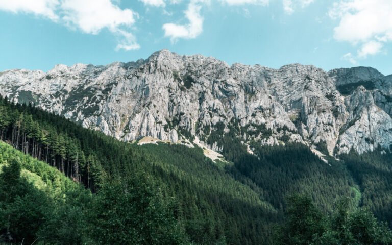 View of Piatra Craiului from the trail