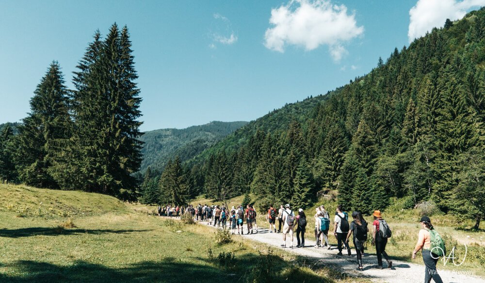 Hikers walking through a mountain meadow near Piatra Craiului