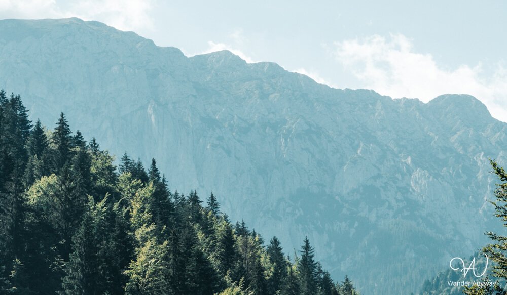 Silhouetted limestone peaks of Piatra Craiului behind layers of pine trees